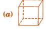 NCERT Solutions for Class 7 Maths - Visualising Solid Shapes- 1
