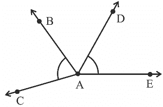 NCERT Exemplar Solutions: Geometry | Mathematics (Maths) Class 6