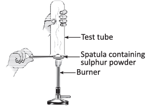 Science Olympiad Previous Year Paper - 3 | Science Olympiad Class 7