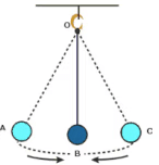Class 7 Science Chapter 8 Worksheet Solutions - Measurement of Time and Motion