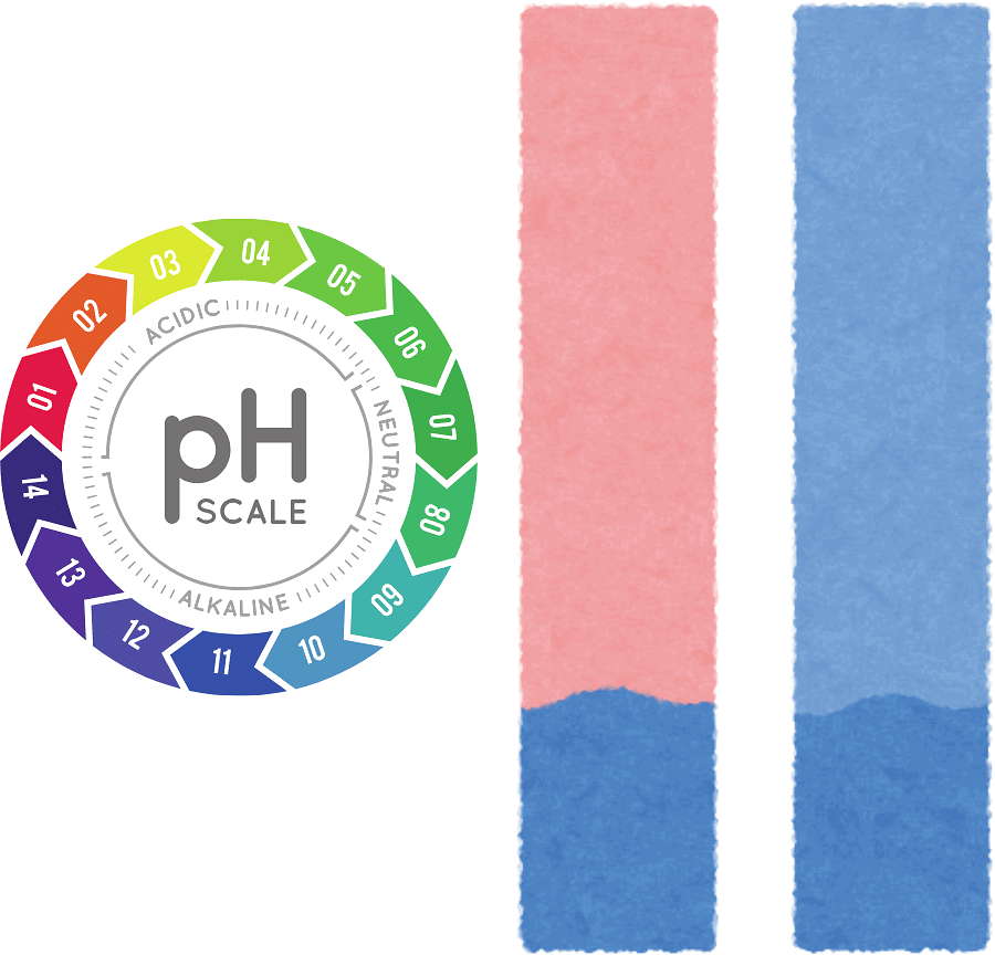 pH scale and Litmus paper