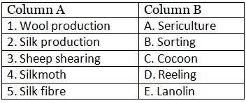 Fibre to Fabric Class 5 Worksheet EVS
