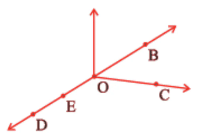 NCERT Solutions for Class 6 Maths Chapter 4 - Basic Geometrical Ideas