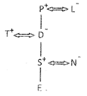 Practice Questions: Blood Relations | Science Olympiad Class 6