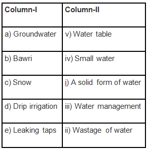NCERT Exemplar Solutions: Water - A Precious Resource | Science Olympiad Class 7