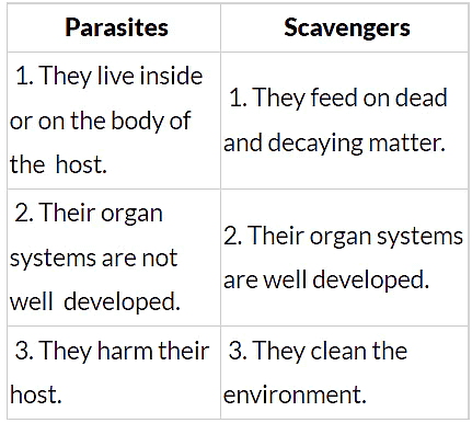 Worksheet Solutions: Living Creatures: Exploring their Characteristics - 2 | Worksheets with Solutions for Class 6