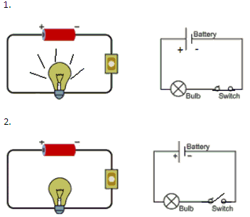 Science Olympiad Model Test Paper - 3 | Science Olympiad Class 6