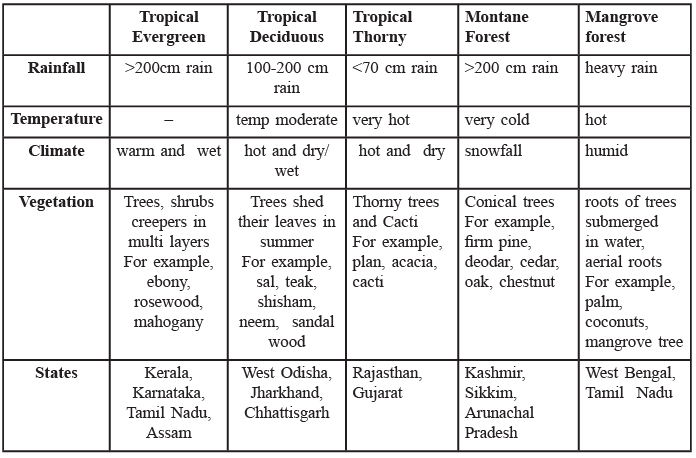 Types of vegetation