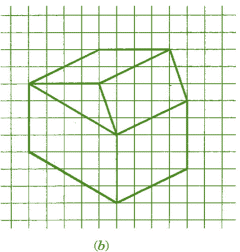 NCERT Solutions for Class 7 Maths - Visualising Solid Shapes- 1