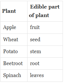 Class 5 EVS Question Answers - Food - Where does it come from