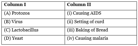 Science Olympiad Previous Year Paper - 1 | Science Olympiad Class 7