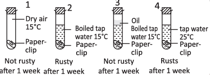 Science Olympiad Model Test Paper - 2 | Science Olympiad Class 7