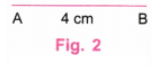 Playing with Constructions NCERT Solutions | Mathematics for Class 6