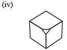 Visualising Shapes Class 7 Worksheet Maths