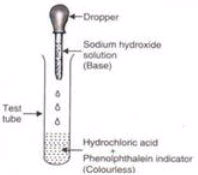 Class 7 Science: CBSE Sample Question Paper with Solutions Term I – 1 | Science Class 7 (Old NCERT)