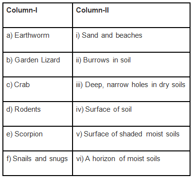 NCERT Exemplar Solutions: Soil | Science Olympiad Class 7