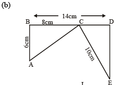 Congruence of Triangles Class 7 Worksheet Maths
