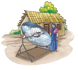 Nature`s Treasures NCERT Solutions | Science for Class 6