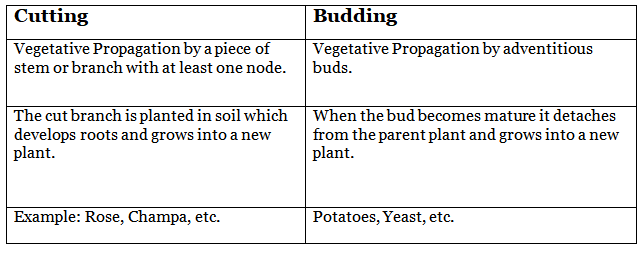 Class 7 Science Chapter 8 Question Answers - Reproduction in Plants