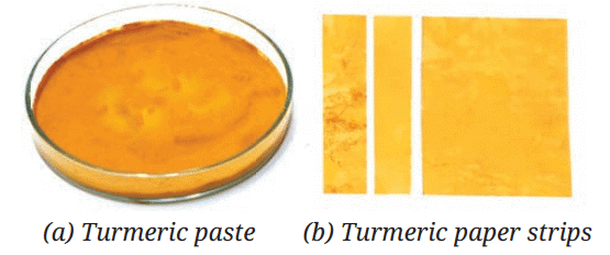 Class 7 Science Chapter 2 NCERT Based Activity - Exploring Substances: Acidic, Basic and Neutral