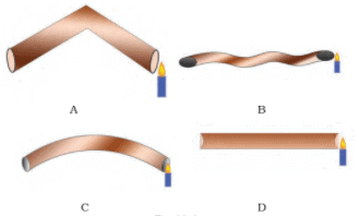 NCERT Exemplar Solutions: Light, Shadow and Reflections | Science Olympiad Class 6