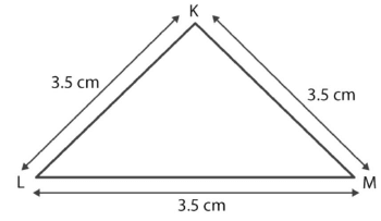 NCERT Solutions for Class 6 Maths Chapter 5 - Understanding Elementary Shapes