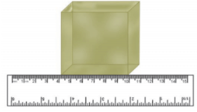 NCERT Exemplar Solutions: Motion and Measurement of Distances | Science Olympiad Class 6