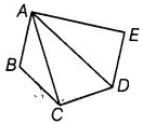 NCERT Exemplar Solutions: Geometry | Mathematics (Maths) Class 6