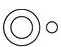 Practice Questions: Logical Venn Diagrams | Science Olympiad Class 6
