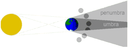 Science Olympiad Previous Year Paper - 2 | Science Olympiad Class 6