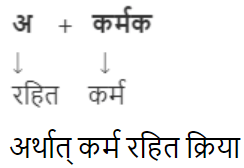 क्रिया Chapter Notes | Hindi Grammar for Class 6
