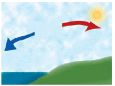 NCERT Exemplar Solutions: Winds, Storms & Cyclones | Science Olympiad Class 7
