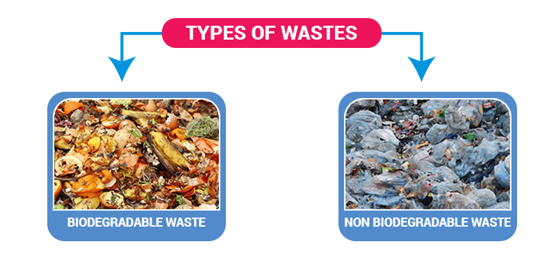 Waste And Sources of Waste, (Class 6)