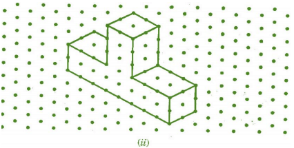 NCERT Solutions for Class 7 Maths - Visualising Solid Shapes- 1
