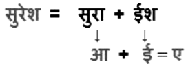 संधि Chapter Notes | Hindi Grammar for Class 6