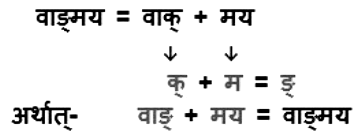 संधि Chapter Notes | Hindi Grammar for Class 6