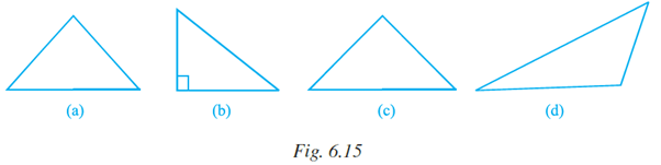 NCERT Exemplar Solutions: Triangles | Mathematics (Maths) Class 7 (Old NCERT)