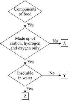 Science Olympiad Model Test Paper - 3 | Science Olympiad Class 6