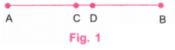 Playing with Constructions NCERT Solutions | Mathematics for Class 6