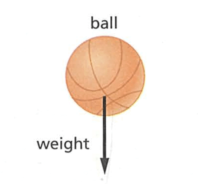 Textbook Solution : Forces and their Effects | IGCSE Cambridge Science for Year 7 - Class 7