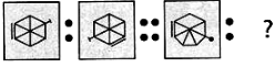 Practice Questions: Analogy and Classification | Science Olympiad Class 6