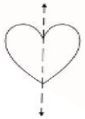 Class 7 Maths Chapter 12 Question Answers - Symmetry