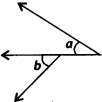 NCERT Exemplar Solutions: Lines & Angles | Mathematics (Maths) Class 7 (Old NCERT)