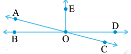 NCERT Solutions for Class 7 Maths - Lines and Angles