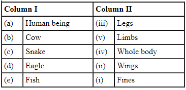 NCERT Exemplar Solutions: Body Movements | Science Olympiad Class 6