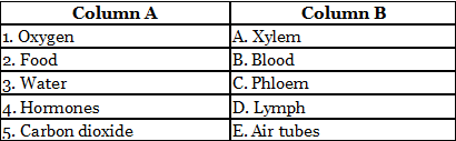 Worksheets With Solutions: Transport of Substances in Animals and Plants Class 7 Worksheet Science Chapter 7