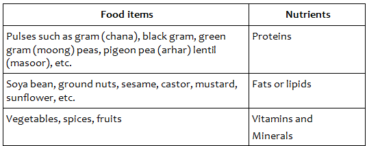 Soil Summary Class 7 NCERT Summary