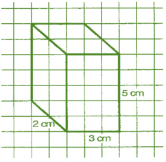 NCERT Solutions for Class 7 Maths - Visualising Solid Shapes- 1