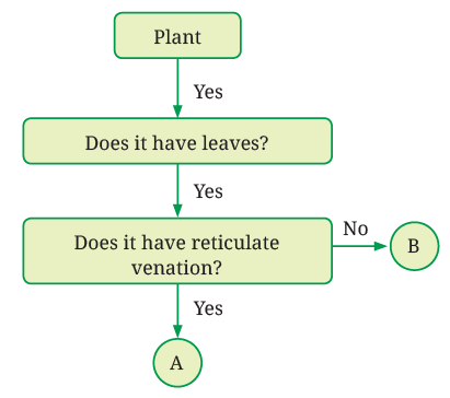 Diversity in the Living World NCERT Solutions | Science for Class 6