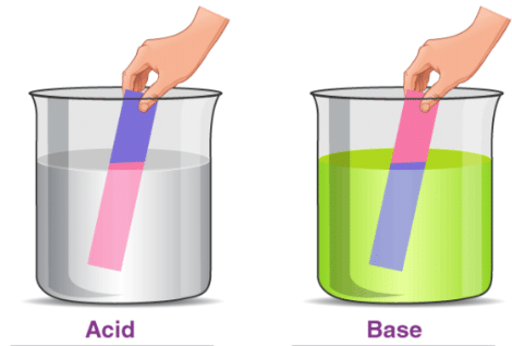 Acids, Bases and Salts Class 7 Notes Science Chapter 2
